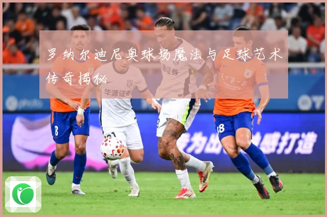 罗纳尔迪尼奥球场魔法与足球艺术传奇揭秘
