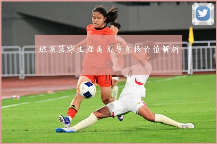 姚明篮球生涯高光与竞技价值解析