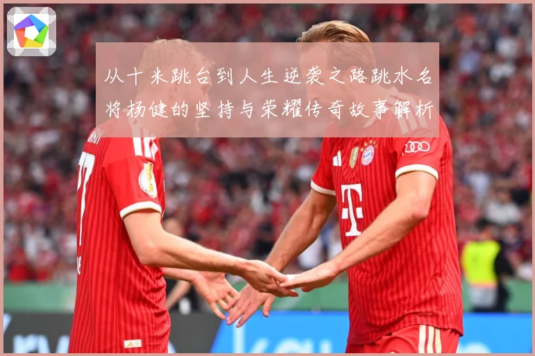 从十米跳台到人生逆袭之路跳水名将杨健的坚持与荣耀传奇故事解析