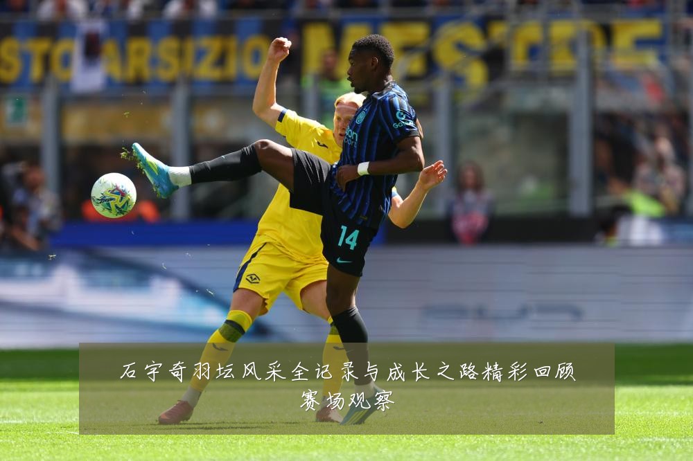 石宇奇羽坛风采全记录与成长之路精彩回顾赛场观察